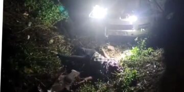 Nine Killed in Kapchorwa car Crash